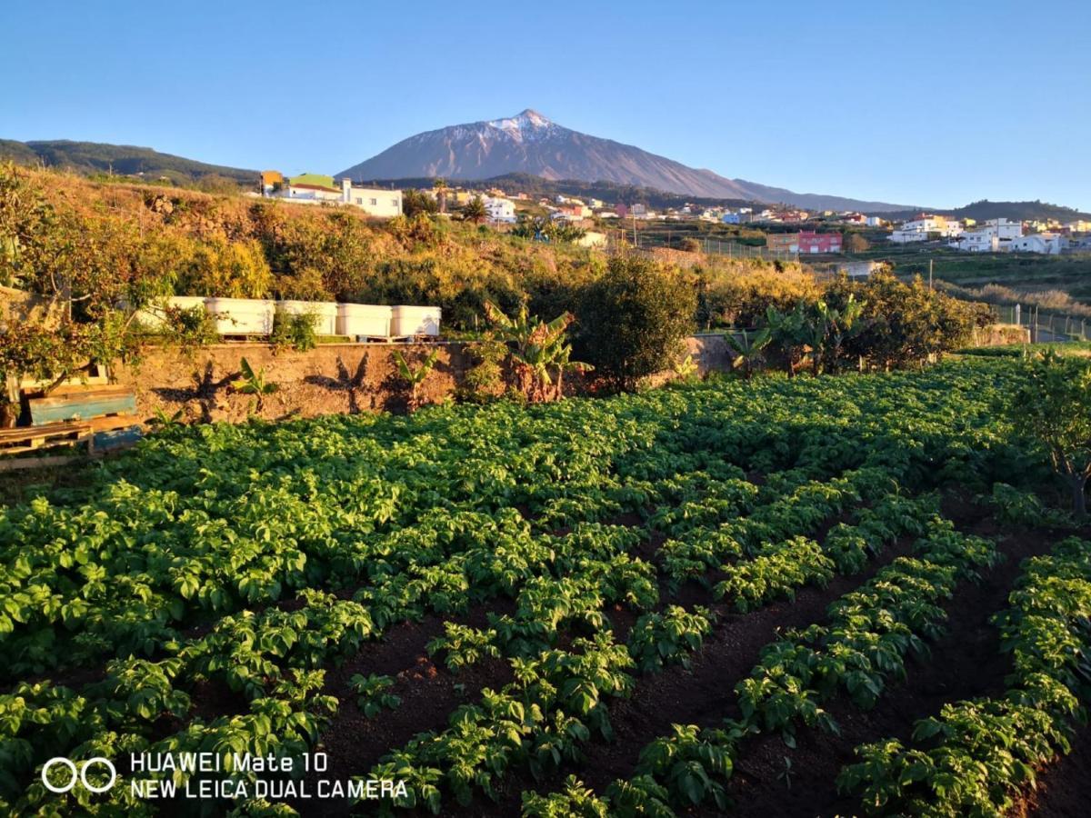 Finca Los Angeles San Juan de la Rambla Exterior photo
